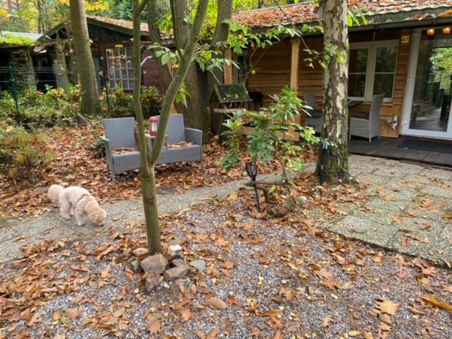 Chalet Corgi-flowerhuisje Lanaken